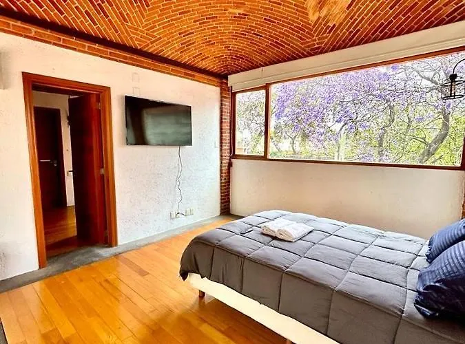 Casa Frida Coyoacan Bed & Breakfast Mexico City