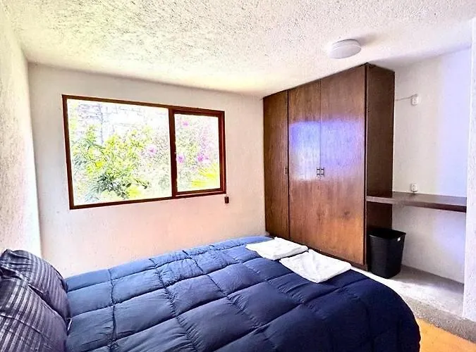 Casa Frida Coyoacan Bed & Breakfast Mexico City