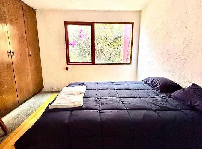Casa Frida Coyoacan Bed & Breakfast 3*