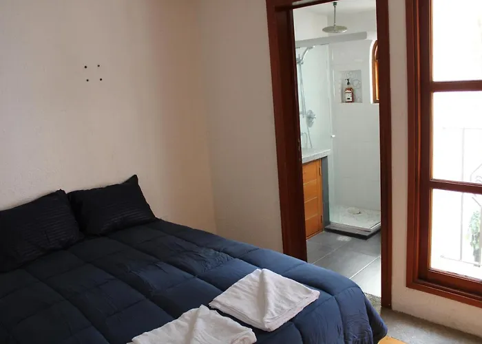 Casa Frida Coyoacan Bed & Breakfast 3*