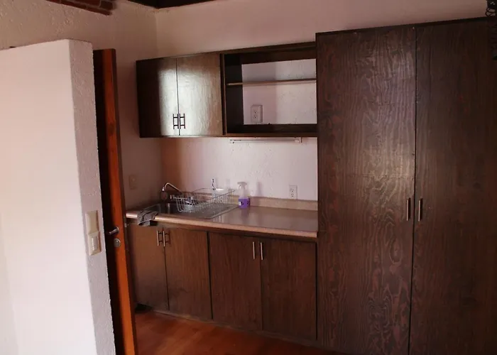 Casa Frida Coyoacan Bed & Breakfast 3*