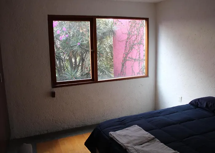Casa Frida Coyoacan Bed & Breakfast