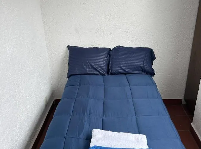Casa Frida Coyoacan Bed & Breakfast