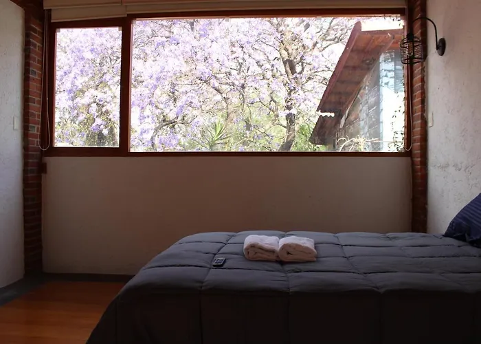 Casa Frida Coyoacan Bed & Breakfast 3*