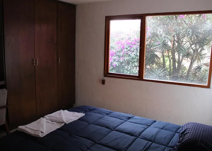 Casa Frida Coyoacan Bed & Breakfast Mexico City