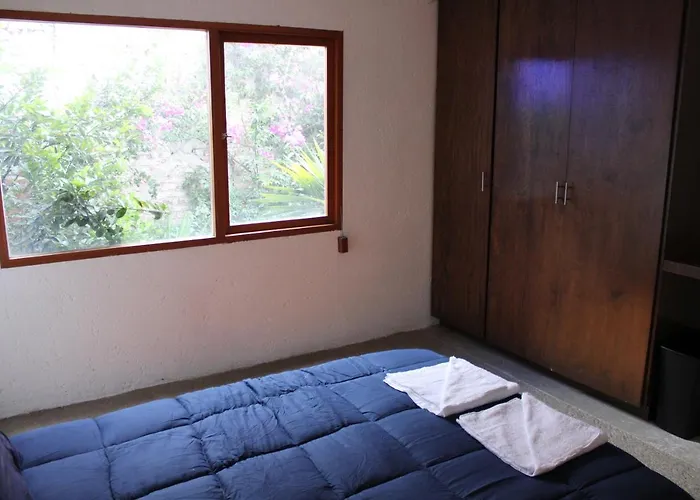 Casa Frida Coyoacan